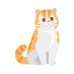 Red Exotic Cat Vector Flat Design Illustration