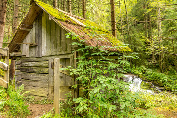 Verlassene Stockmühle inmitten wilder Natur