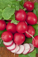 Red ripe radishes with leaves