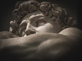 Printed kitchen splashbacks Historic monument detail of the face of Michelangelo's David