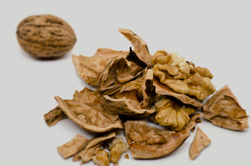 walnut