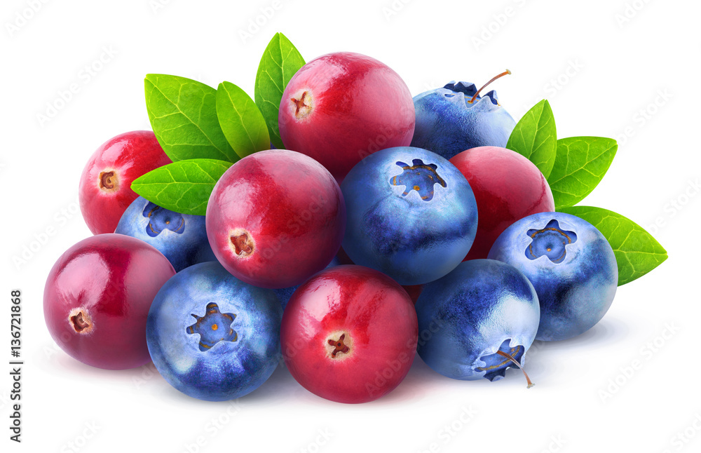 Poster isolated berries. pile of fresh cranberry and blueberry fruits isolated on white background with cli