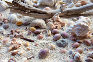 Decoration in the hotel at Hanimaadhoo, Maldives