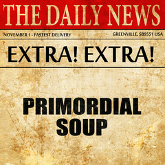 primordial soup, article text in newspaper