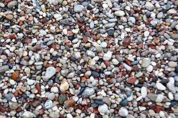 Colorful wet rocks on the beach, focus on center