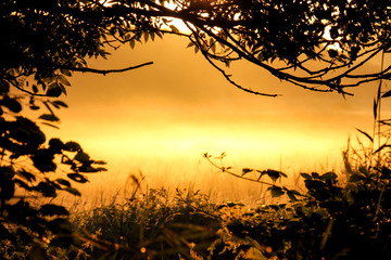 Fototapeta premium Sonnenaufgang in der Küstenheide