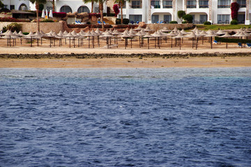 Fototapeta na wymiar The beach on the shores of the Red Sea