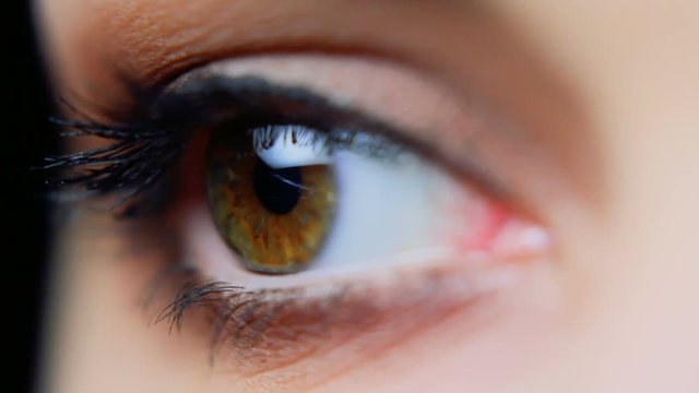 Detail footage of Female eye
