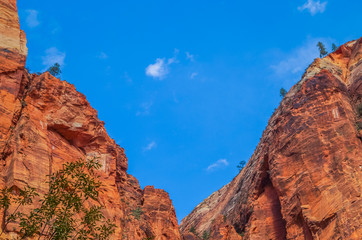 colorful landscape from zion national park utah