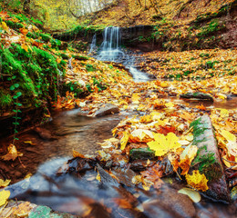 Waterfall in Autumn. Beautiful golden days. Carpathian Ukraine Europe