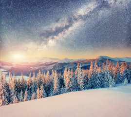 starry sky in winter snowy night. Carpathians, Ukraine, Europe © standret