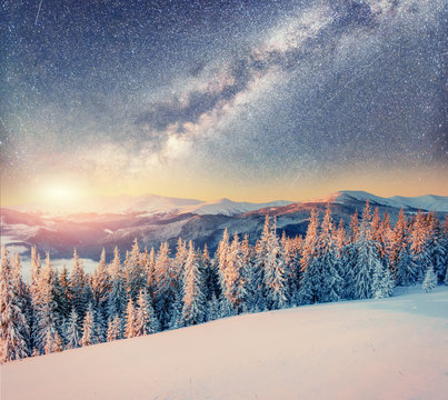 starry sky in winter snowy night. Carpathians, Ukraine, Europe