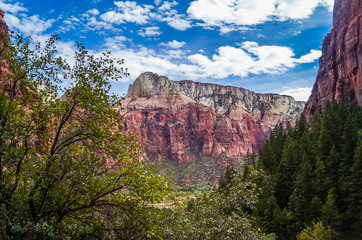 colorful landscape from zion national park utah