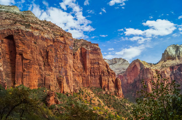 colorful landscape from zion national park utah