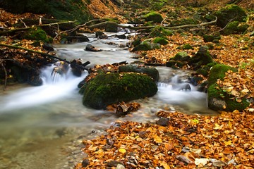 Fototapeta na wymiar Autumn flowing mountain stream waterfall in Slovakia. Colored leafs on moss rock. Fresh natural water.