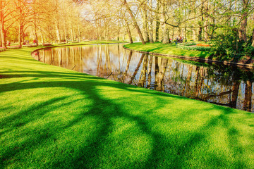 lovely spring landscape park. Blooming flowers.