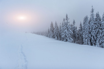 Obraz premium fog in winter mountains. Fantastic sunset.