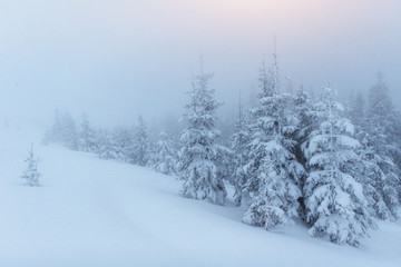Naklejka premium fog in winter mountains. Fantastic sunset.