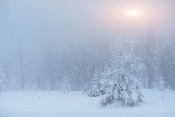 fog in winter mountains. Fantastic sunset.