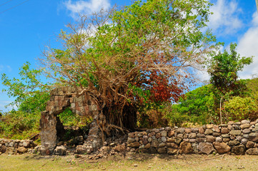 Caribbean, the island of Nevis