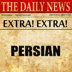 persian, article text in newspaper