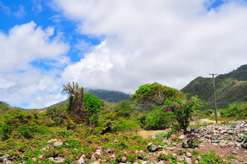 Fototapeta premium Caribbean, island of Nevis