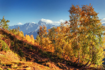 Obraz premium Autumn landscape and snowy mountain peaks.