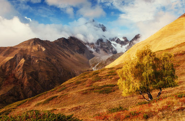 Autumn landscape and snowy mountain peaks.