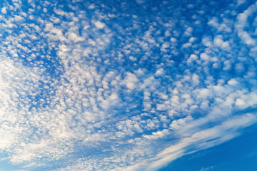 Naklejka na ściany i meble Blue sky background with white tiny clouds