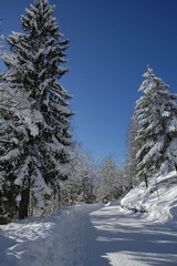Obraz premium View of scenic winter landscape in the Bavarian Alps