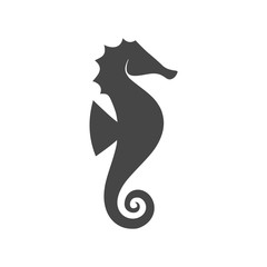 Sea horse vector illustration