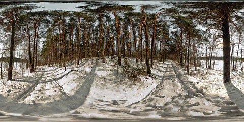 panorama of snow-covered forest on a sunny day. Full 360 degree  panorama in equirectangular...