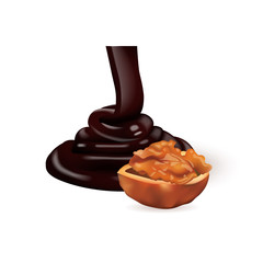 Walnut with chocolate. 3d vector illustration