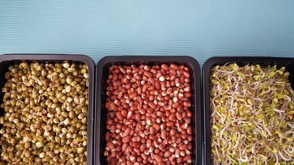 Seamless texture with legumes