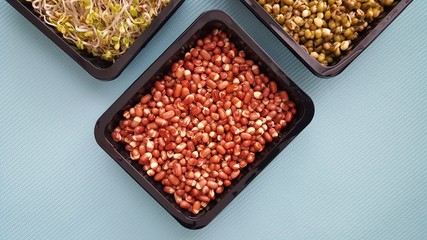 Seamless texture with legumes