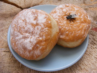 bug and insect
