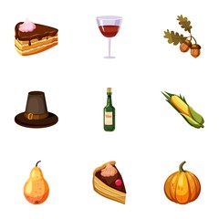 Autumn festival icons set, cartoon style