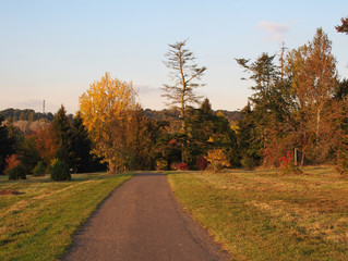 Paysage d'automne - Arboretum de Chèvreloup