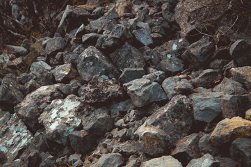 Rocks and soils texture