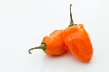 Two orange habanero peppers isolated white background. - obrazy, fototapety, plakaty