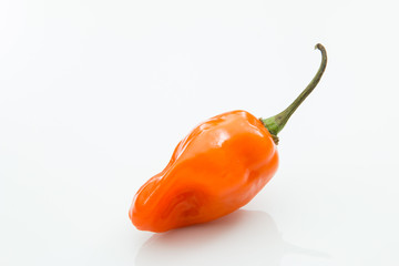 Habanero orange pepper isolated white background. - obrazy, fototapety, plakaty