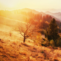 mountain range in the Carpathian Mountains in the autumn season.