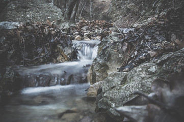 Fall water. Image may contain soft focus and blur due to longexpose. Mountain forest stream. Silky stream in a forest.