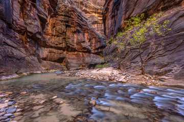 Cascades in the Narrows of Zion National Park, Utah.