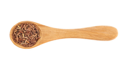 Wooden spoon of brown rice