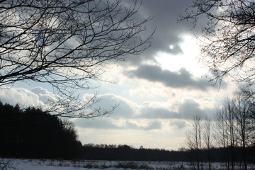 Sky and clouds and trees