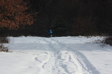 snow , winter  and bicycle