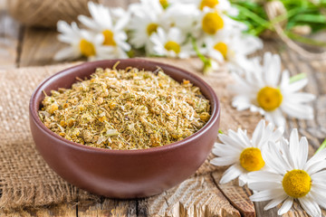 Dried and fresh chamomile flowers and leaves on wooden rustic background, alternative medicine