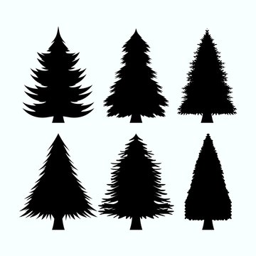 set of tree pine silhouette collections