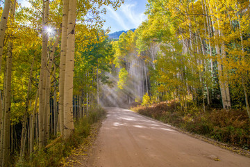 Fall Road 